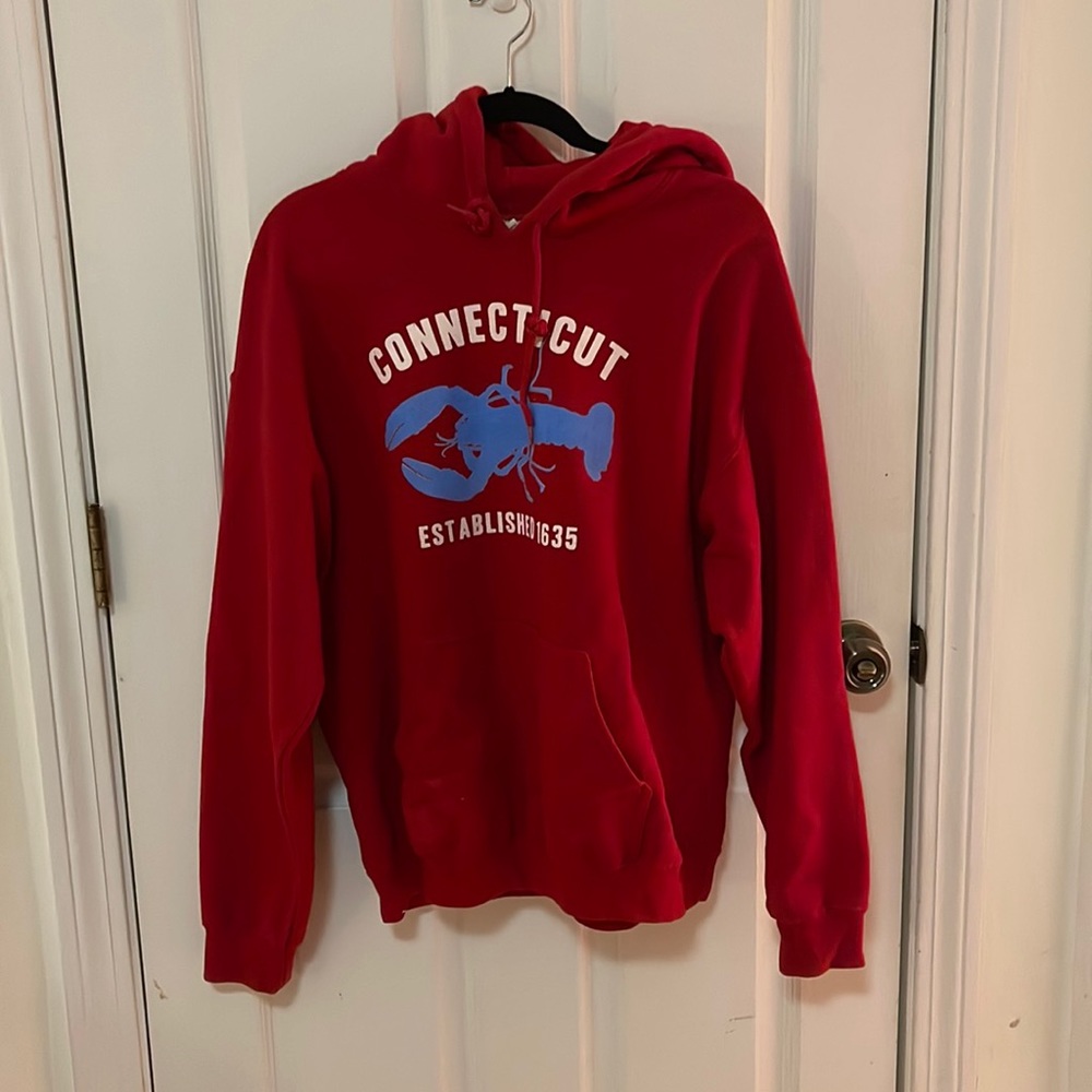 CT hoodie